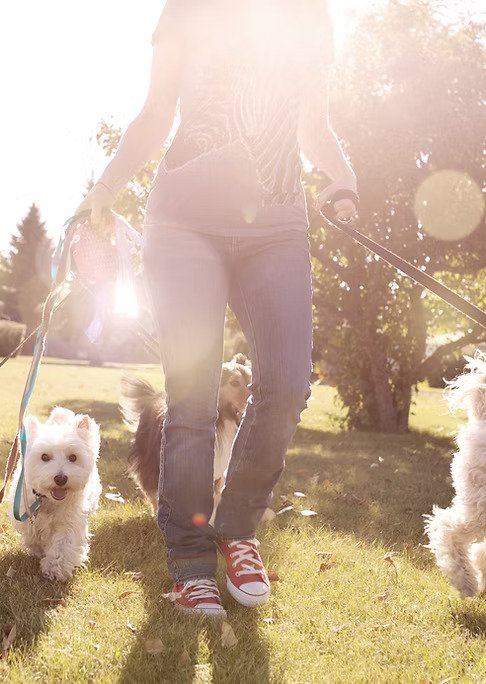 Daug bendrų erdvių kasdienybei