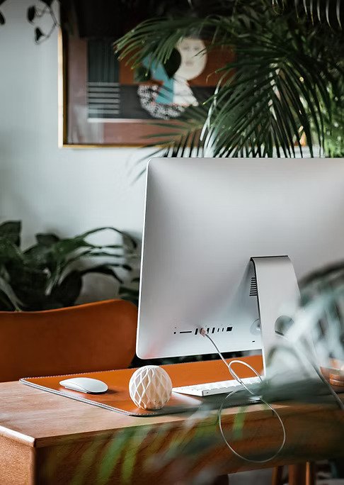 Vientisa gyvenvietės koncepcija